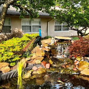 Fundraising Page: Kelli James